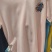 精品体恤