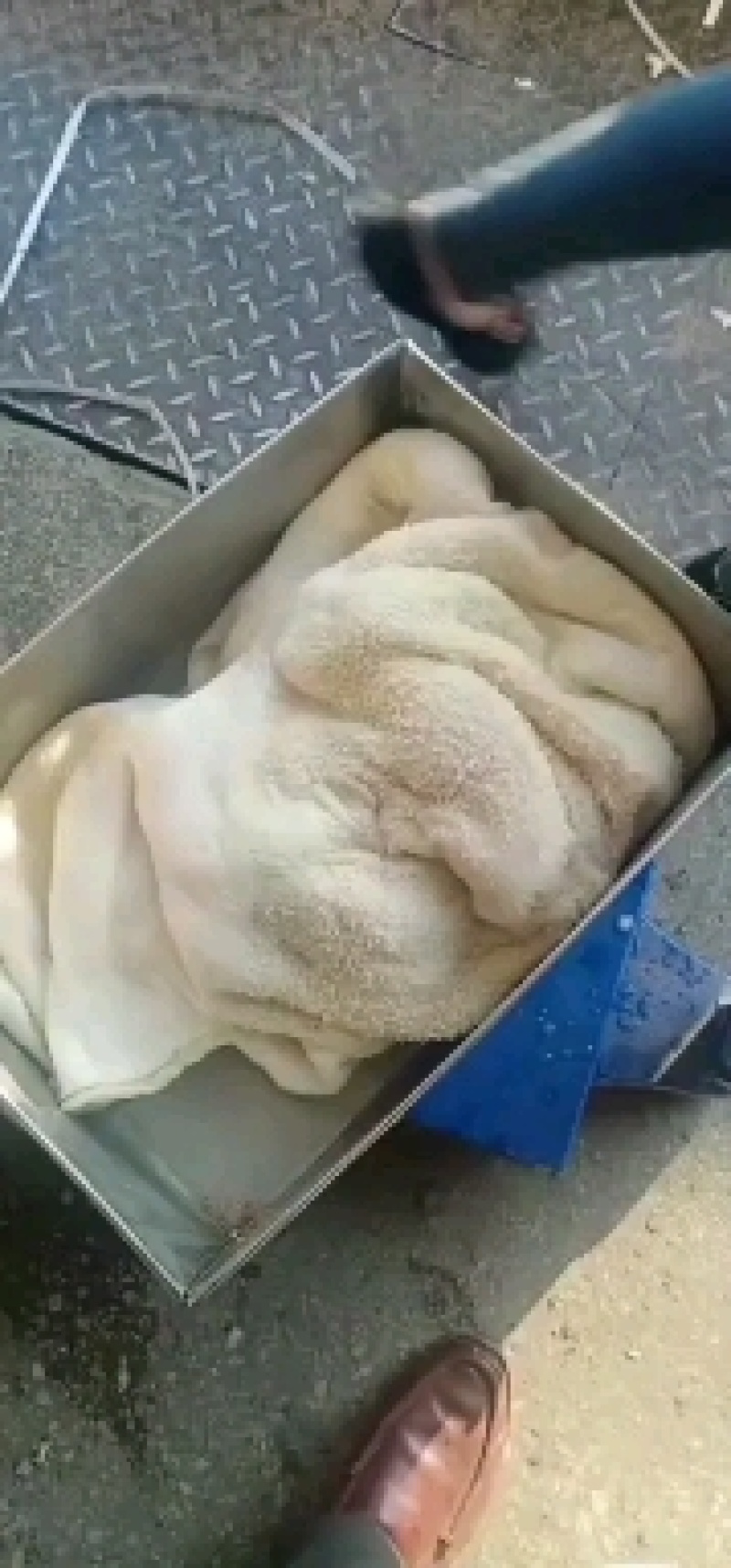 国产半成品牛肚，水退，带金钱肚，手续齐全