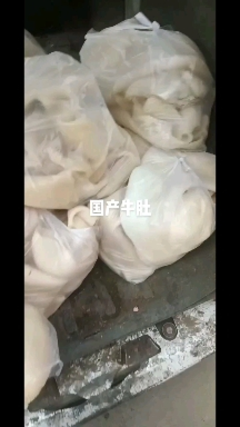 国产半成品牛肚，水退，带金钱肚，手续齐全