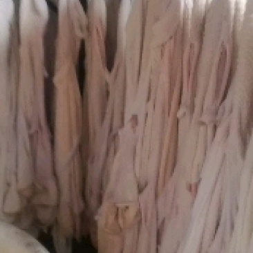 国产半成品牛肚，水退，带金钱肚，手续齐全