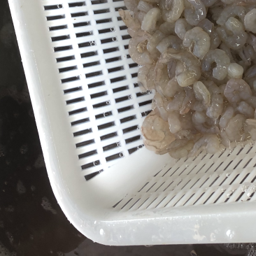 虾仁低价批发小规格，饺子云吞虾滑面粉粥酒店等可使用