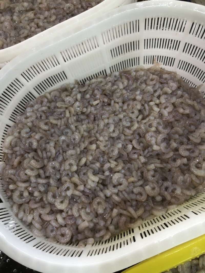 虾仁低价批发小规格，饺子云吞虾滑面粉粥酒店等可使用