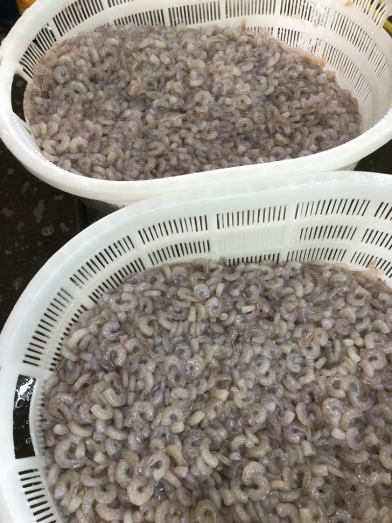 虾仁低价批发小规格，饺子云吞虾滑面粉粥酒店等可使用