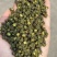 青花椒，特香特麻，好品质好质量，一手货源价格美丽