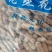 蒸笼花生批发盐水花生煮花生颗颗入味粒粒饱满5斤一袋整件