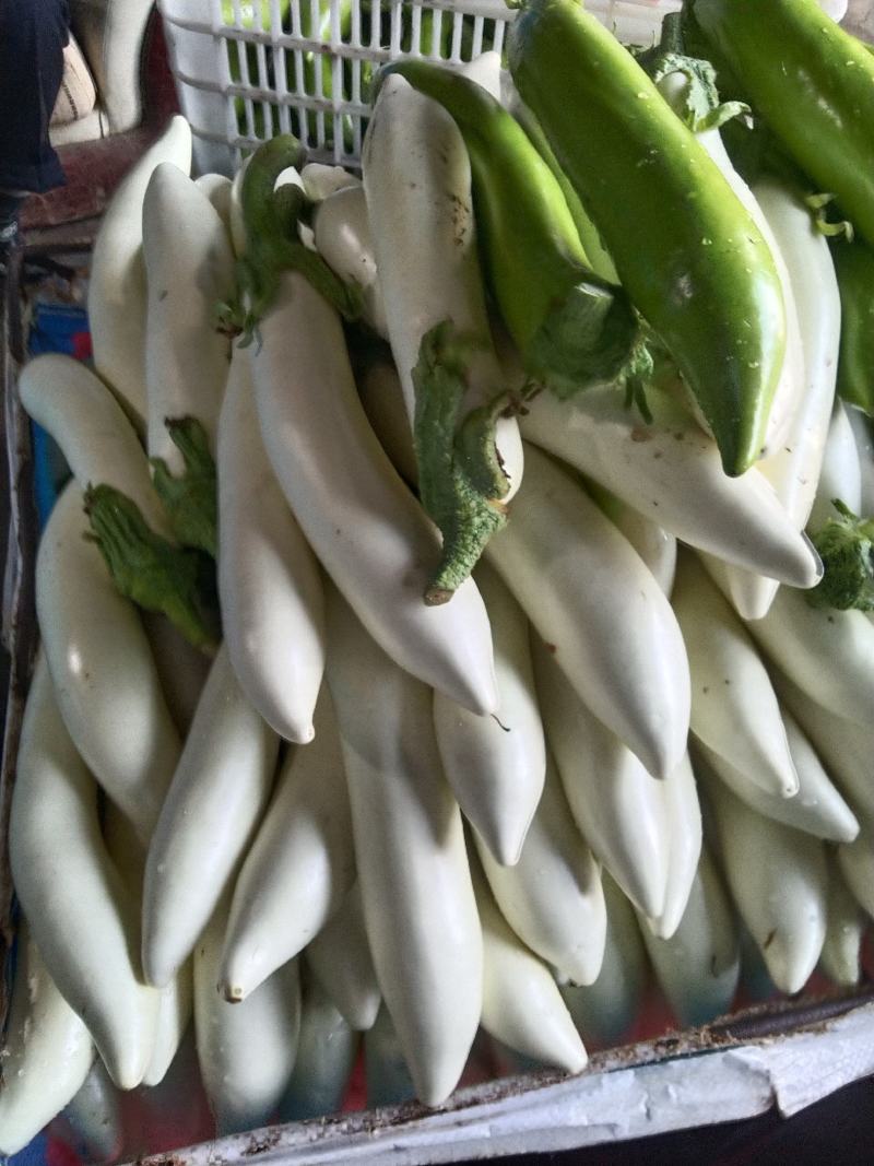 茄子