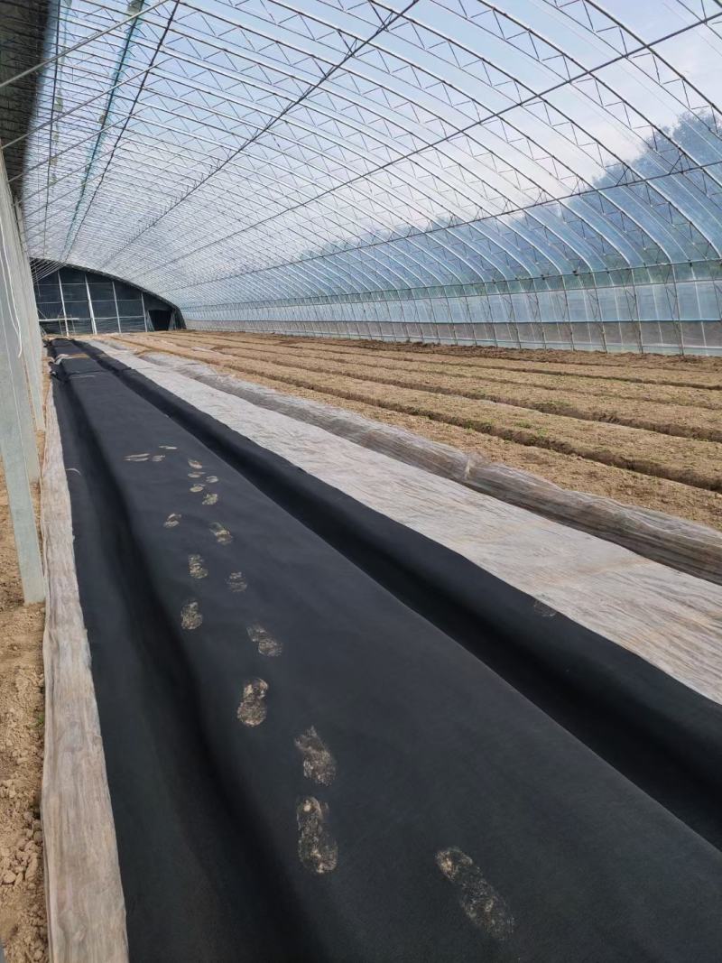 养殖大棚种植大棚都可定做连体棚保温棚暖棚成套大棚
