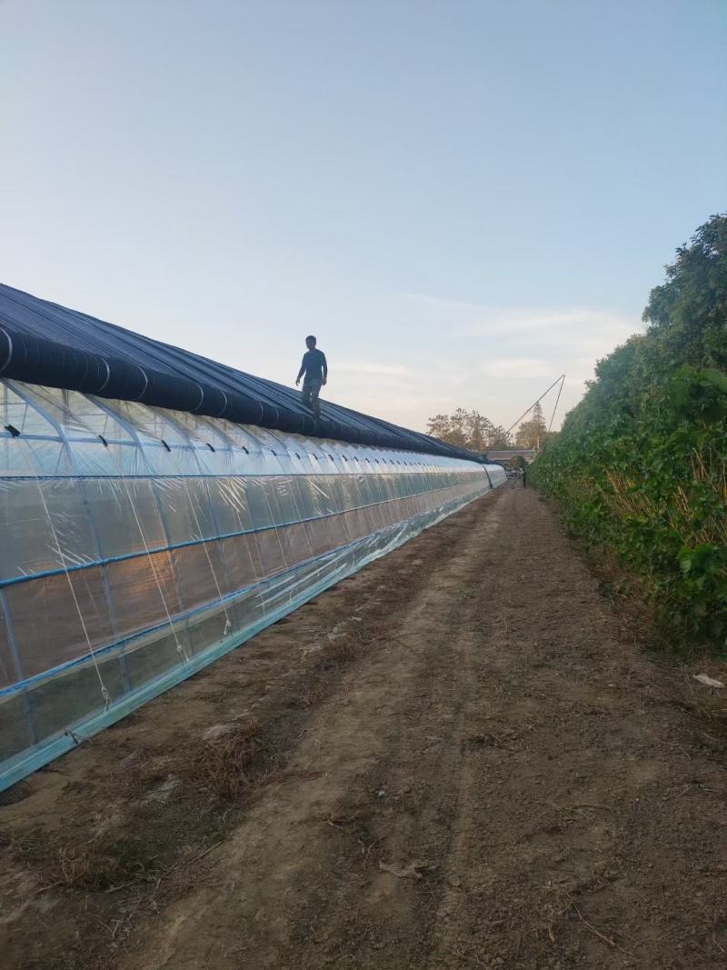 养殖大棚种植大棚都可定做连体棚保温棚暖棚成套大棚