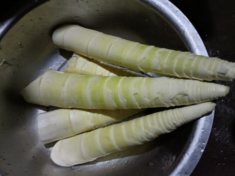 雷竹苗，带土发货包上车，优质雷竹1_2年新竹苗，成活率高