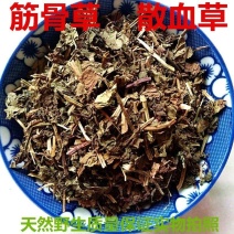 中药材筋骨草白毛夏枯草散血草散血丹破血丹苦中药