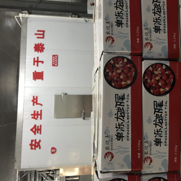 龙虾尾加工厂，直售上游虾尾干冰原料及各级别成品，欢迎咨询