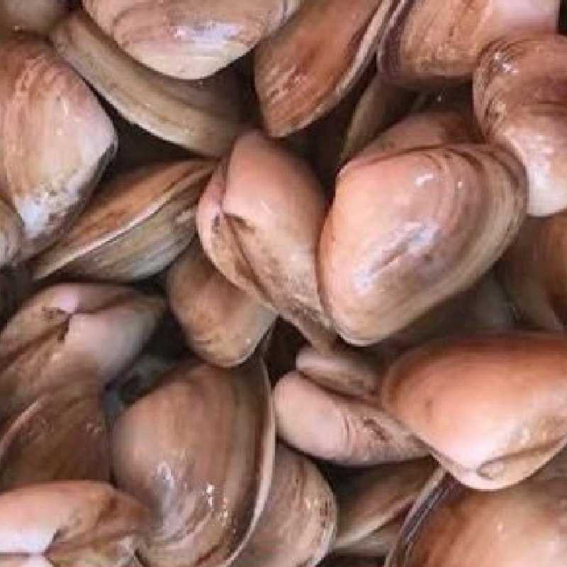 海瓜子