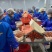 龙虾尾工厂原料成品交易中心一手货源全国发货