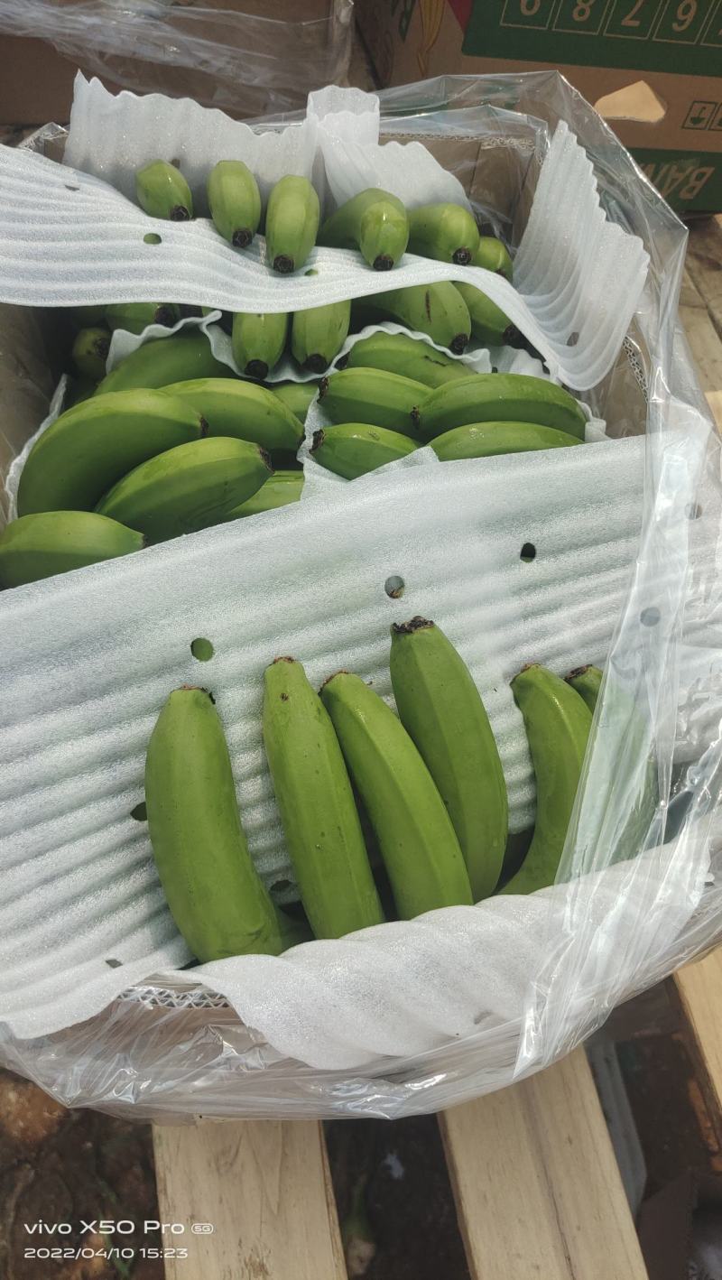 香蕉