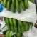 香蕉