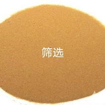 江西野生海金沙粉，过筛纯净无任何添加剂，质量保证。