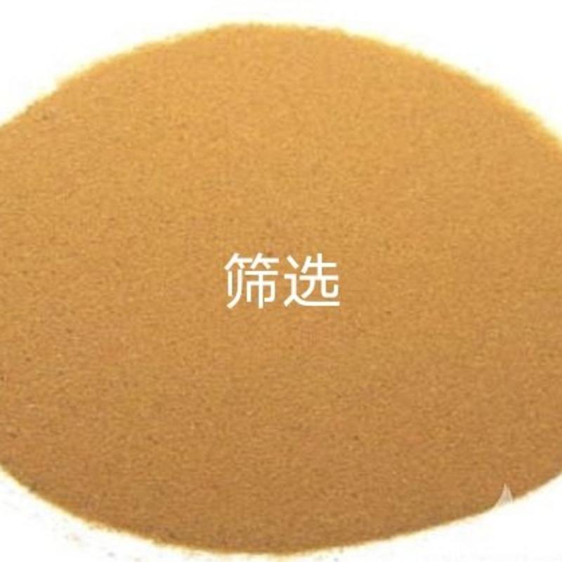 江西野生海金沙粉，过筛纯净无任何添加剂，质量保证。