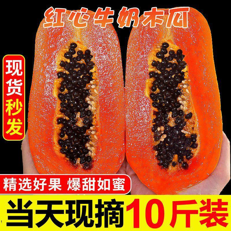 新鲜红心木瓜10斤装当季热带水果青木瓜树上熟
