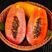 新鲜红心木瓜10斤装当季热带水果青木瓜树上熟