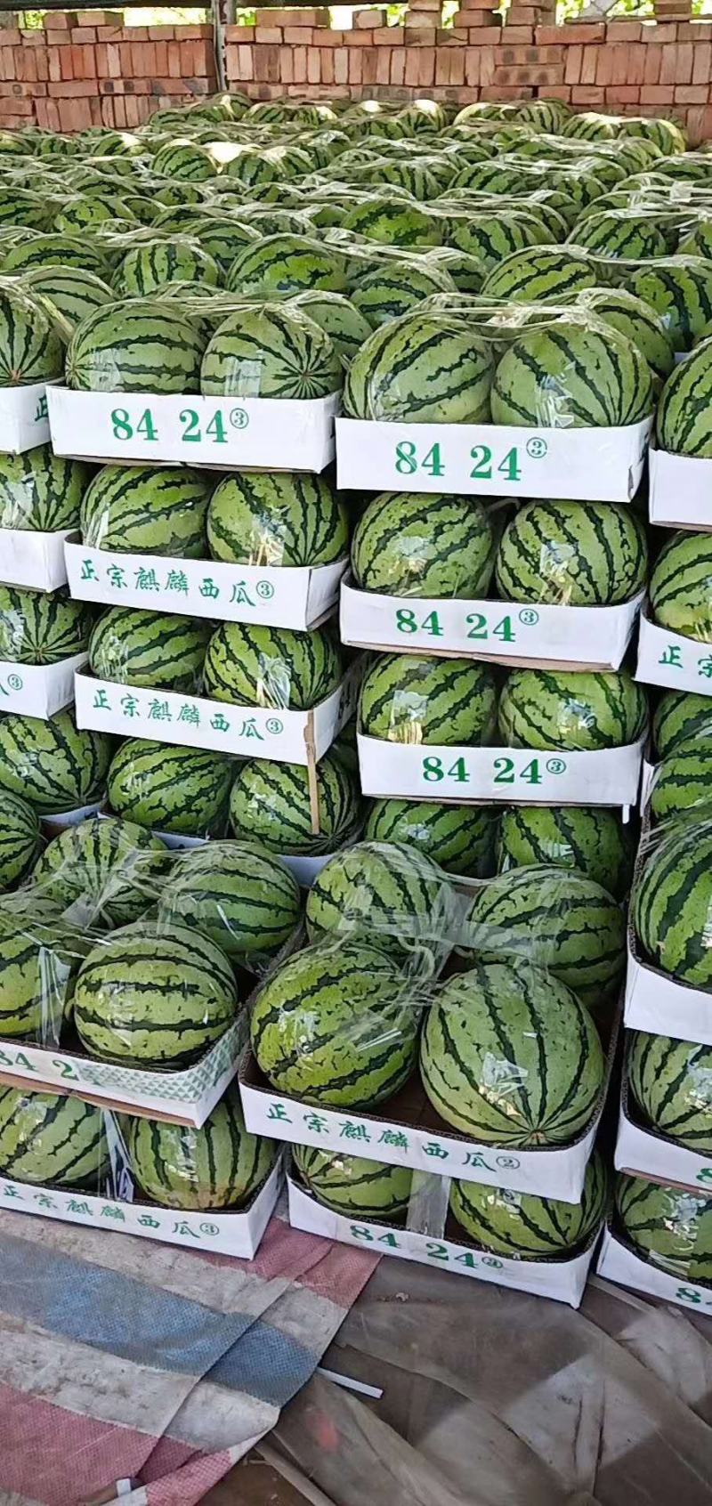 安徽美都西瓜万亩基地直供皮薄品质保证包熟包甜