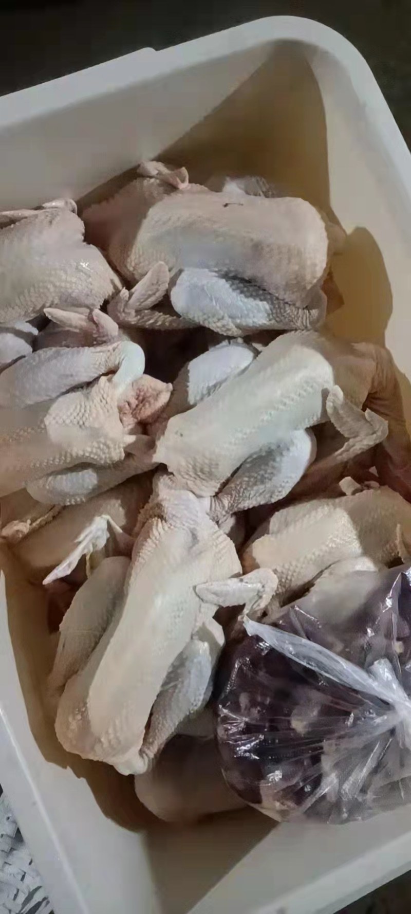 长期供应多品种白条鸡