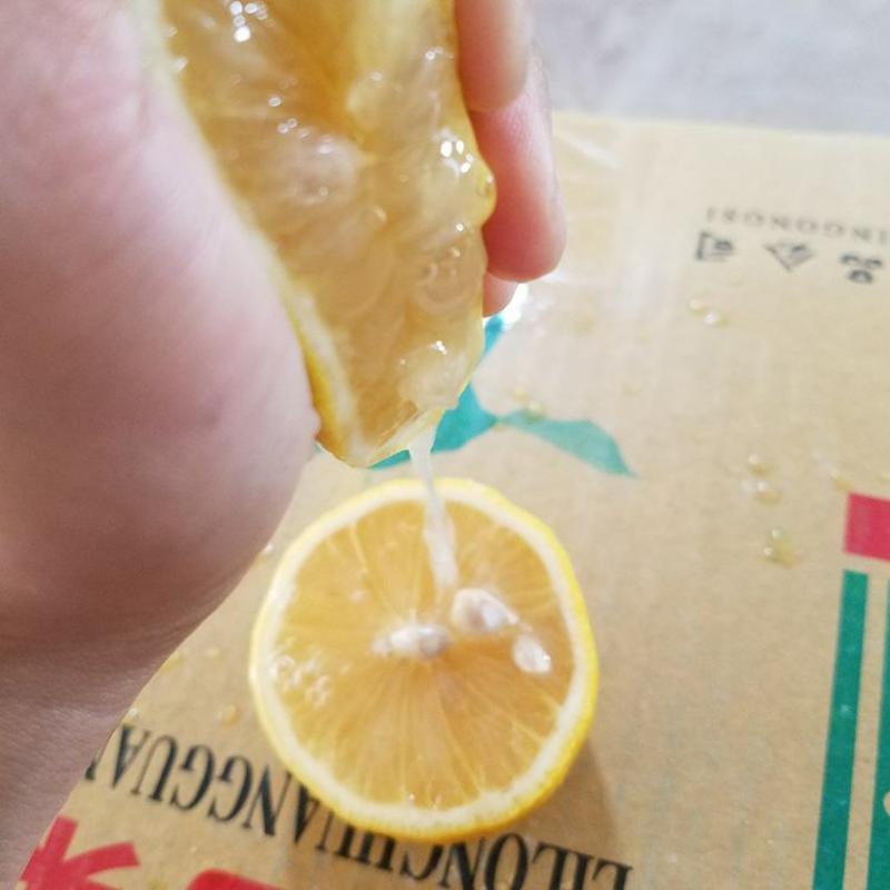 【24小时内发货】广西香水柠檬中大果大果批发