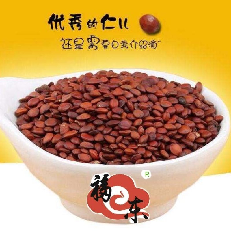 山东优质酸枣仁种苗，药用酸枣仁基地直供现挖现发