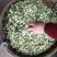 洋槐花现摘现发可做一件代发顺丰包邮