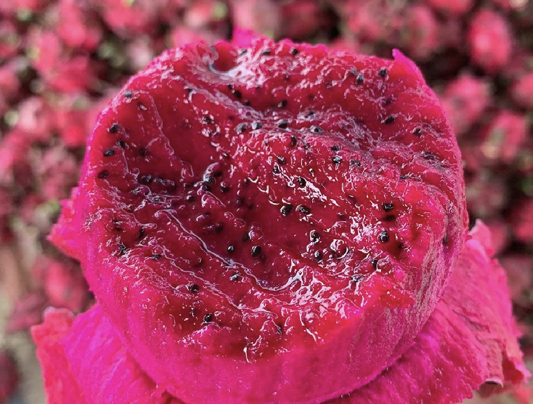 红心火龙果切开的果肉特写,展示其鲜艳的红色果肉和黑籽颗粒 红心火龙果切开的果肉特写