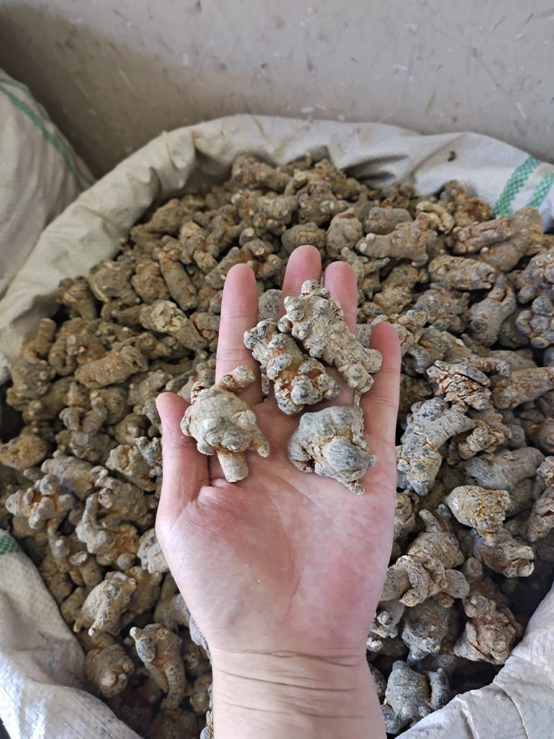 三七云南三七20头40头60头规格都有可免费打粉