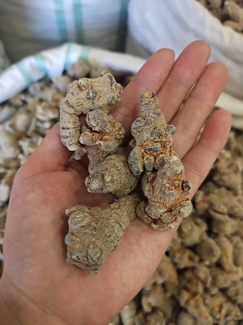 三七云南三七20头40头60头规格都有可免费打粉