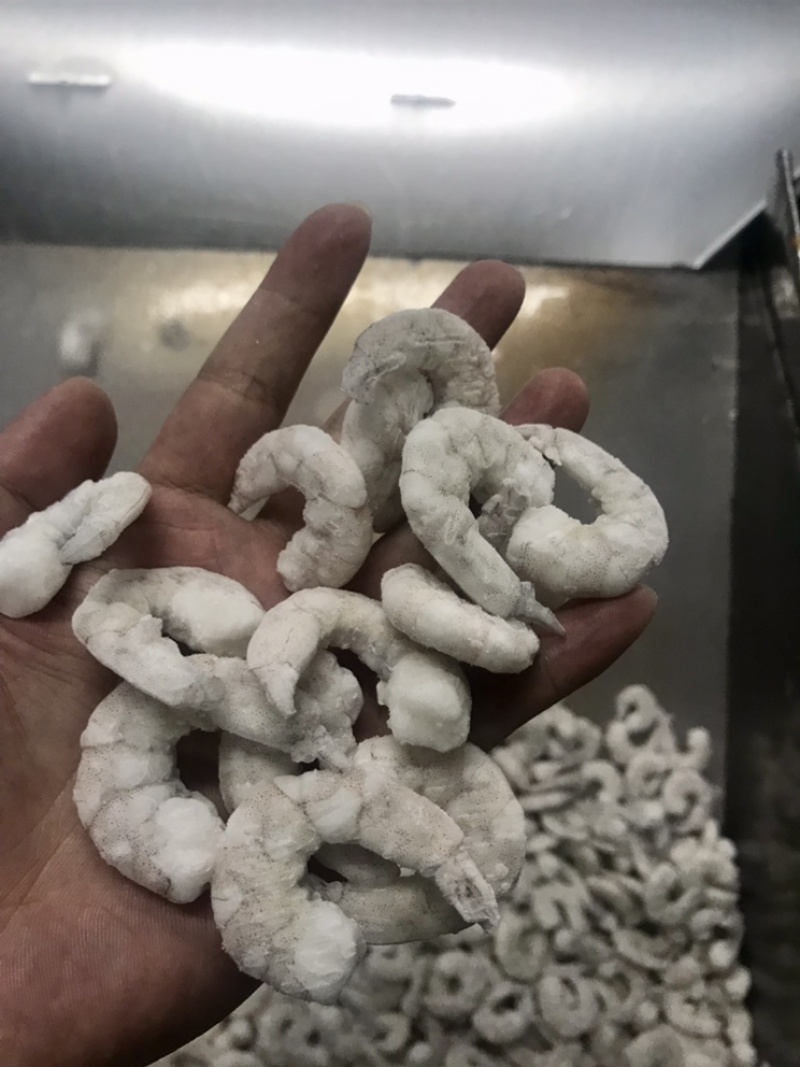 单冻虾仁