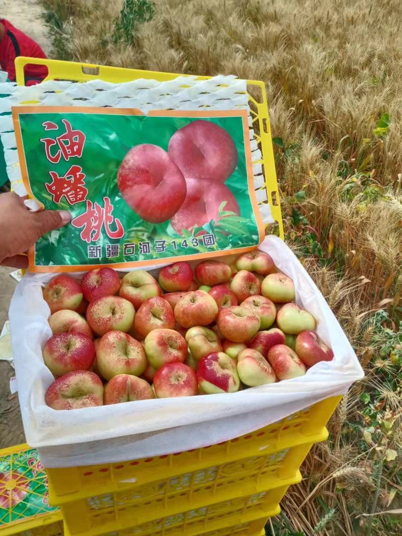 陕西精品红油蟠桃产地直发脆甜口感欢迎老板来基地考察