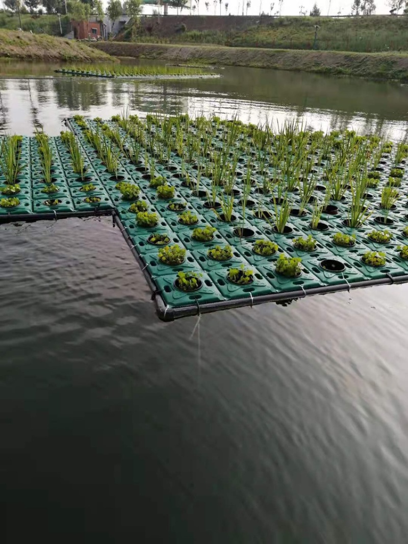 方形浮岛／浮岛／水生植物