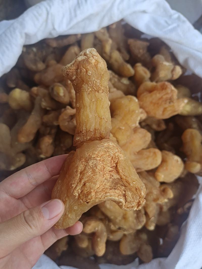 黄精黄精个整个子鸡头黄精姜形黄精规格齐全量大从