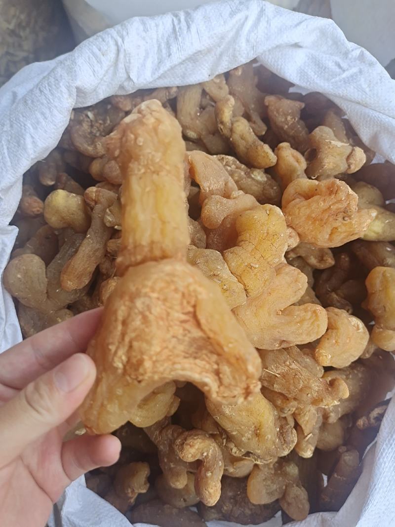 黄精黄精个整个子鸡头黄精姜形黄精规格齐全量大从