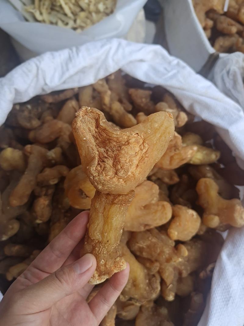 黄精黄精个整个子鸡头黄精姜形黄精规格齐全量大从