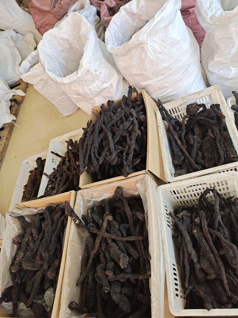 肉苁蓉整根肉苁蓉软肉苁蓉阿拉善整根男性泡酒大芸
