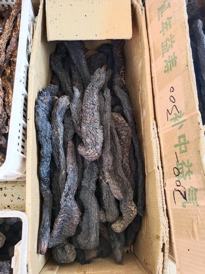 肉苁蓉整根肉苁蓉软肉苁蓉阿拉善整根男性泡酒大芸
