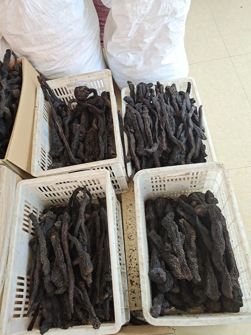 肉苁蓉整根肉苁蓉软肉苁蓉阿拉善整根男性泡酒大芸