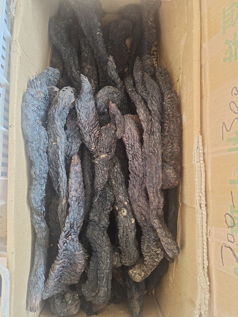 肉苁蓉整根肉苁蓉软肉苁蓉阿拉善整根男性泡酒大芸