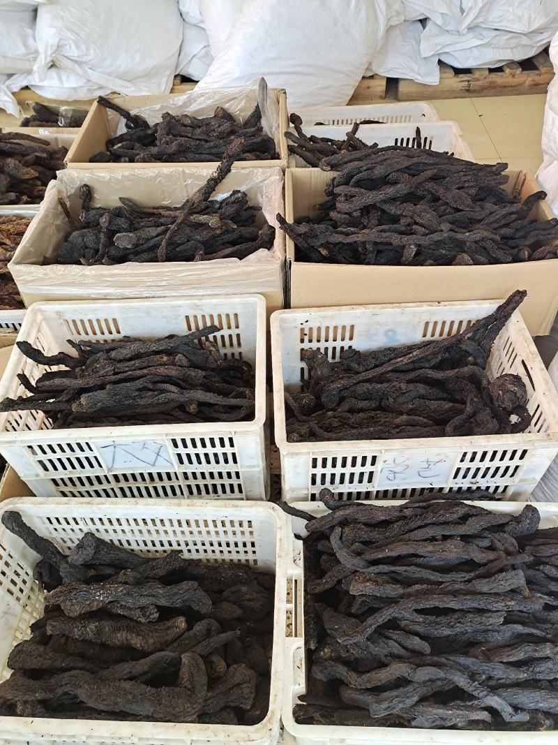肉苁蓉整根肉苁蓉软肉苁蓉阿拉善整根男性泡酒大芸