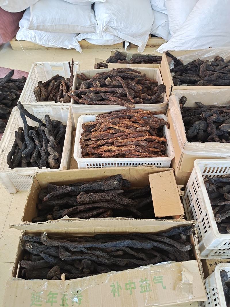 肉苁蓉整根肉苁蓉软肉苁蓉阿拉善整根男性泡酒大芸