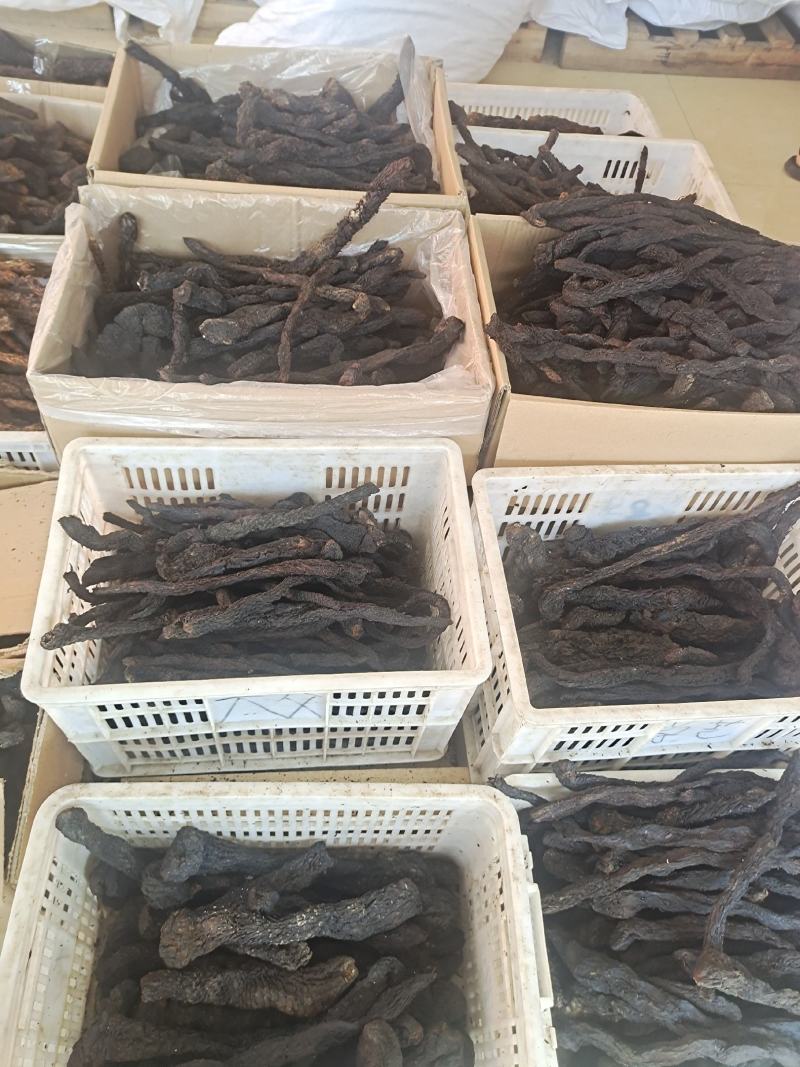 肉苁蓉整根肉苁蓉软肉苁蓉阿拉善整根男性泡酒大芸