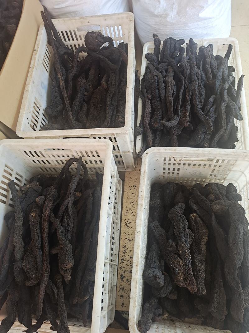 肉苁蓉整根肉苁蓉软肉苁蓉阿拉善整根男性泡酒大芸