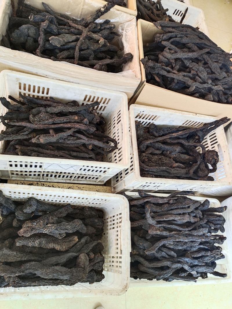 肉苁蓉整根肉苁蓉软肉苁蓉阿拉善整根男性泡酒大芸