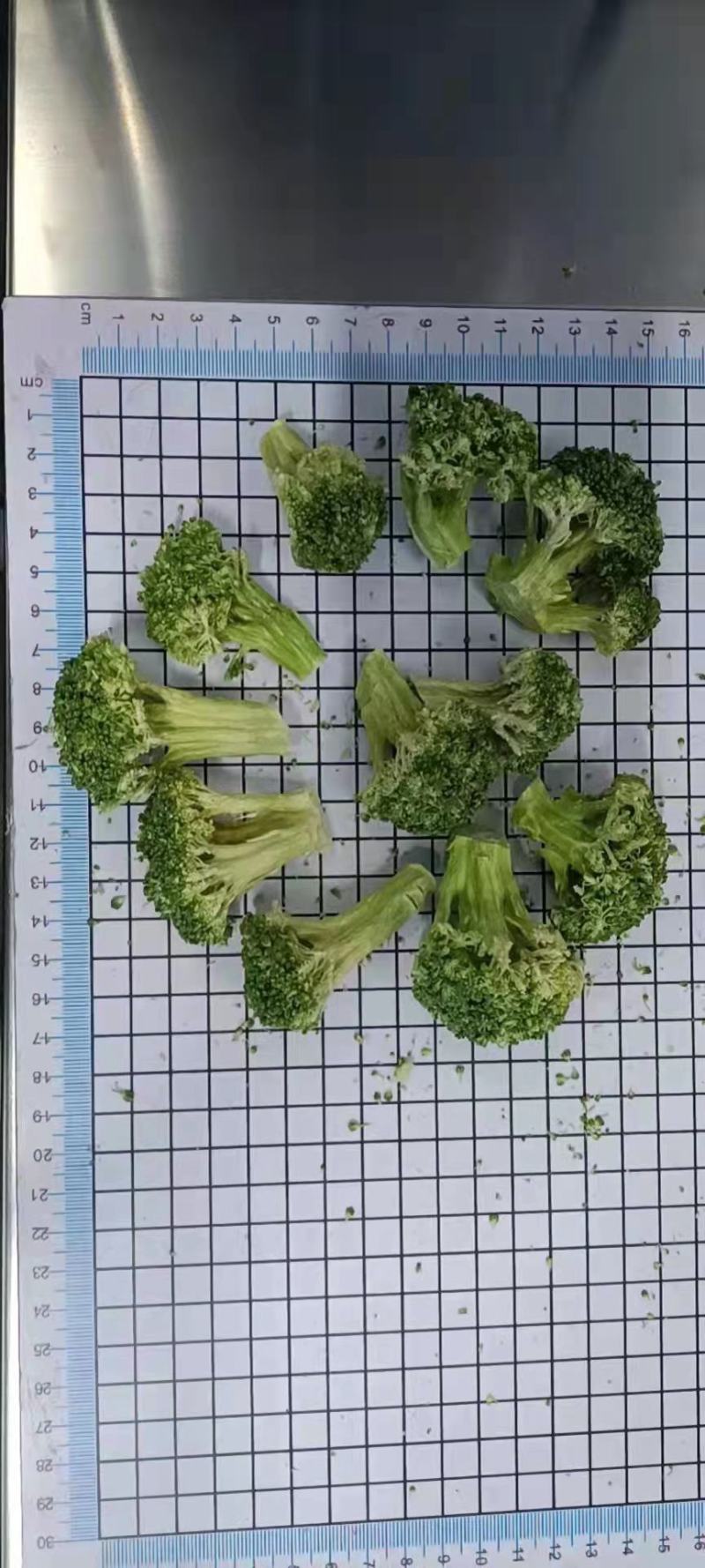 冻干西兰花西兰花干可做宠物零食大量批发