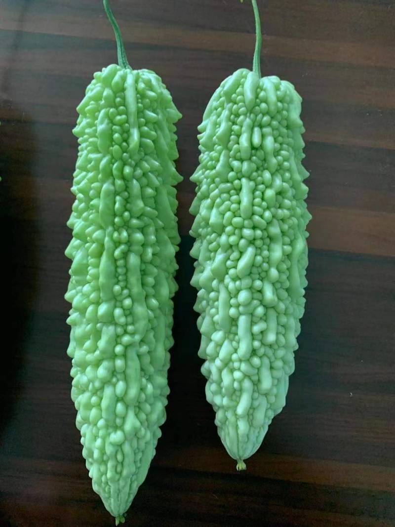 苦瓜