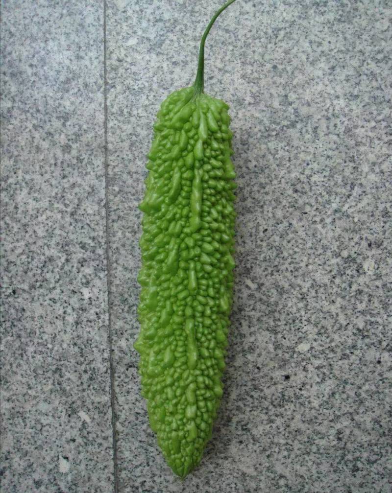 苦瓜