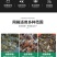 10目加盖网箱可定制水产养殖网存鱼养鱼孵化育苗鳅鳝虾